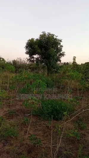 1 Acre Plot at Mwabungo Near Town at 1 Km From Lungalunga Highway