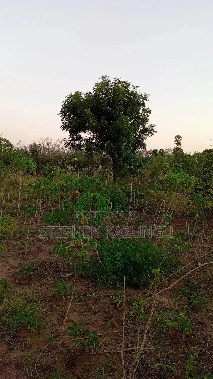 1 Acre Plot at Mwabungo Near Town at 1 Km From Lungalunga Highway