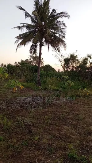 1 Acre Plot at Mwabungo Near Town at 1 Km From Lungalunga Highway