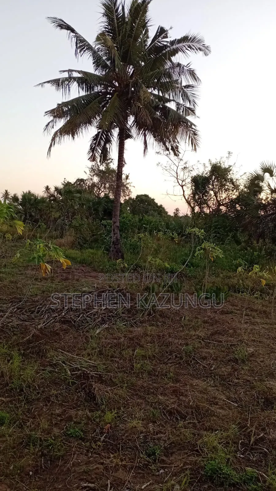 1 Acre Plot at Mwabungo Near Town at 1 Km From Lungalunga Highway
