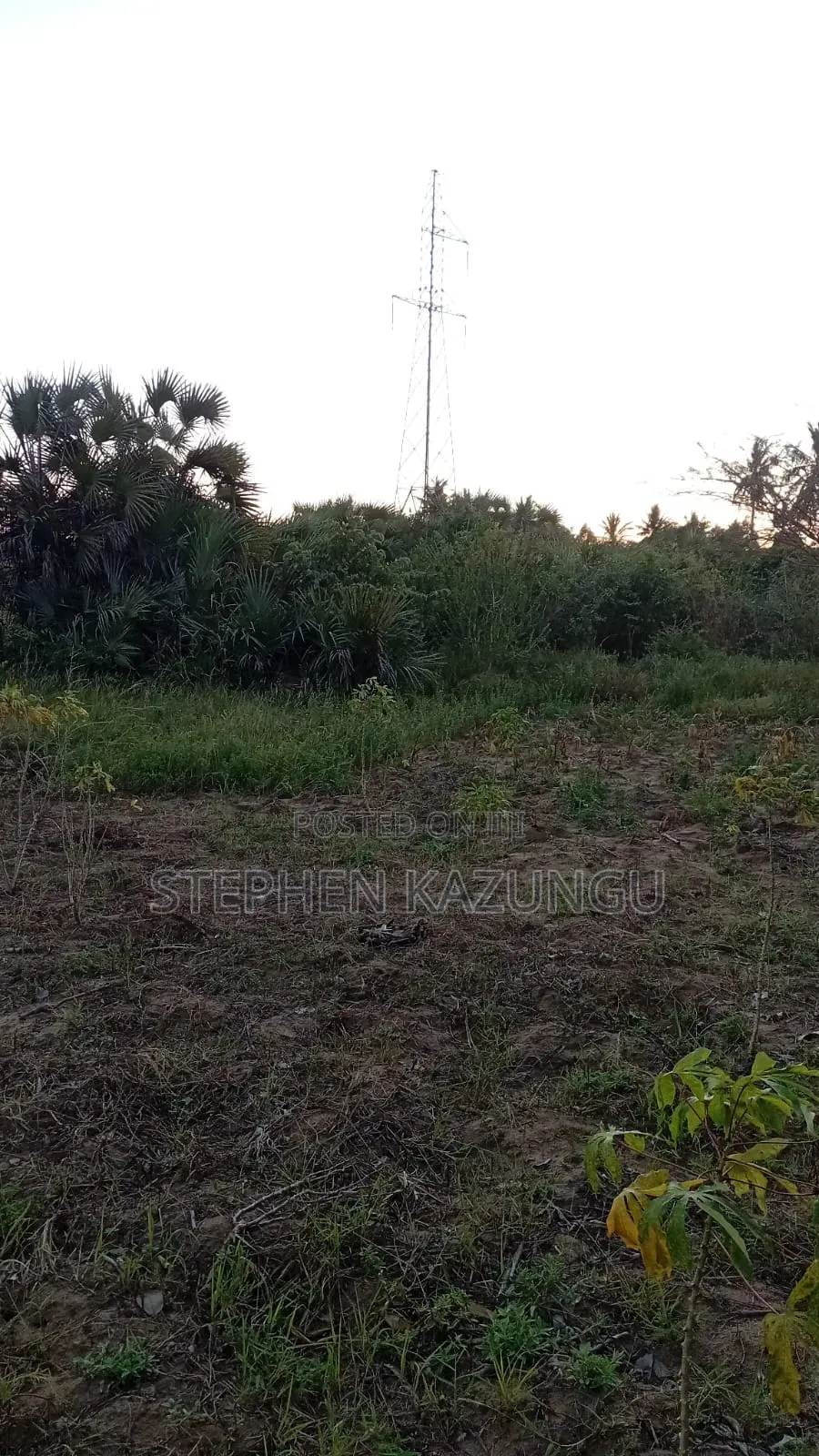 1 Acre Plot at Mwabungo Near Town at 1 Km From Lungalunga Highway