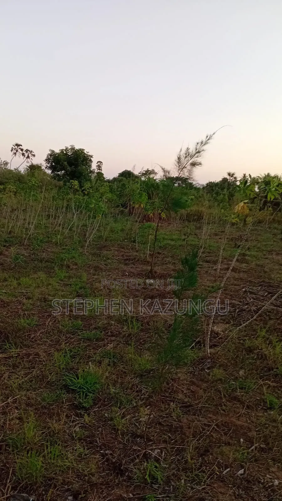 1 Acre Plot at Mwabungo Near Town at 1 Km From Lungalunga Highway
