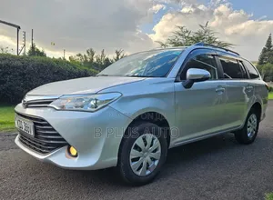 Toyota Corolla Fielder 2018 Silver