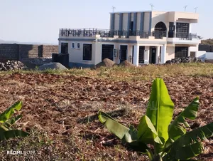 Building Construction
