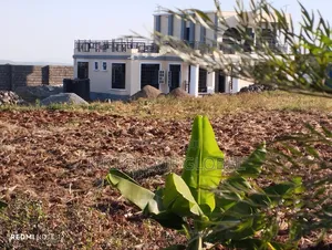 Building Construction