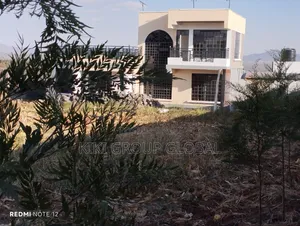 Building Construction