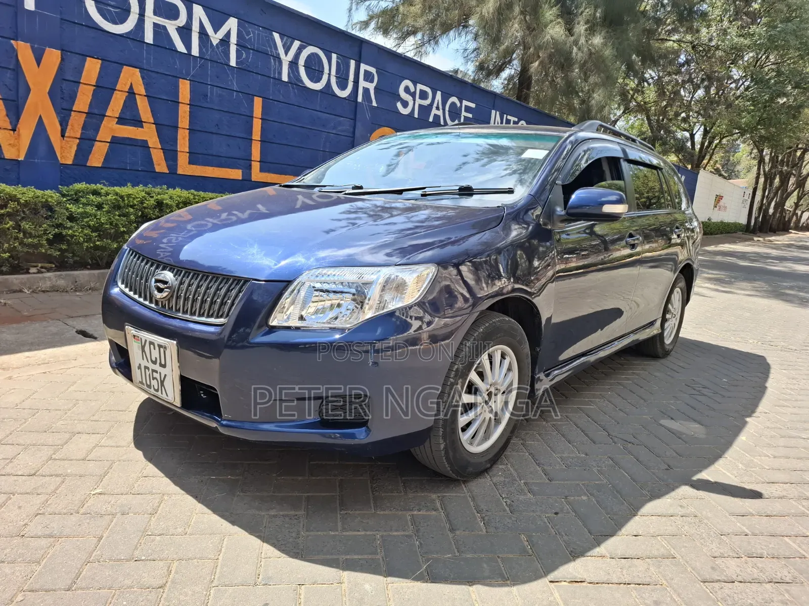 Toyota Corolla Fielder 2009 Blue