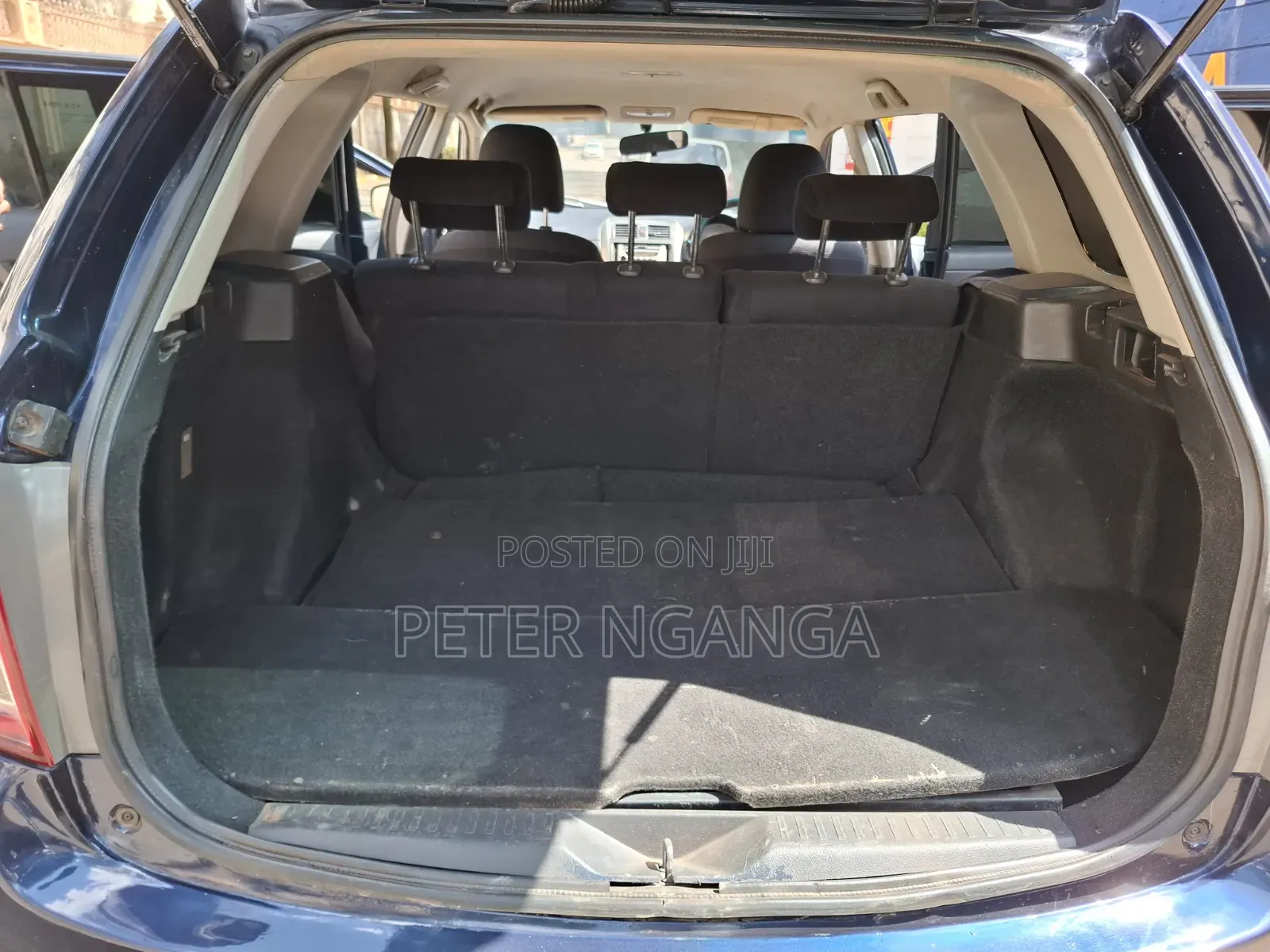 Toyota Corolla Fielder 2009 Blue