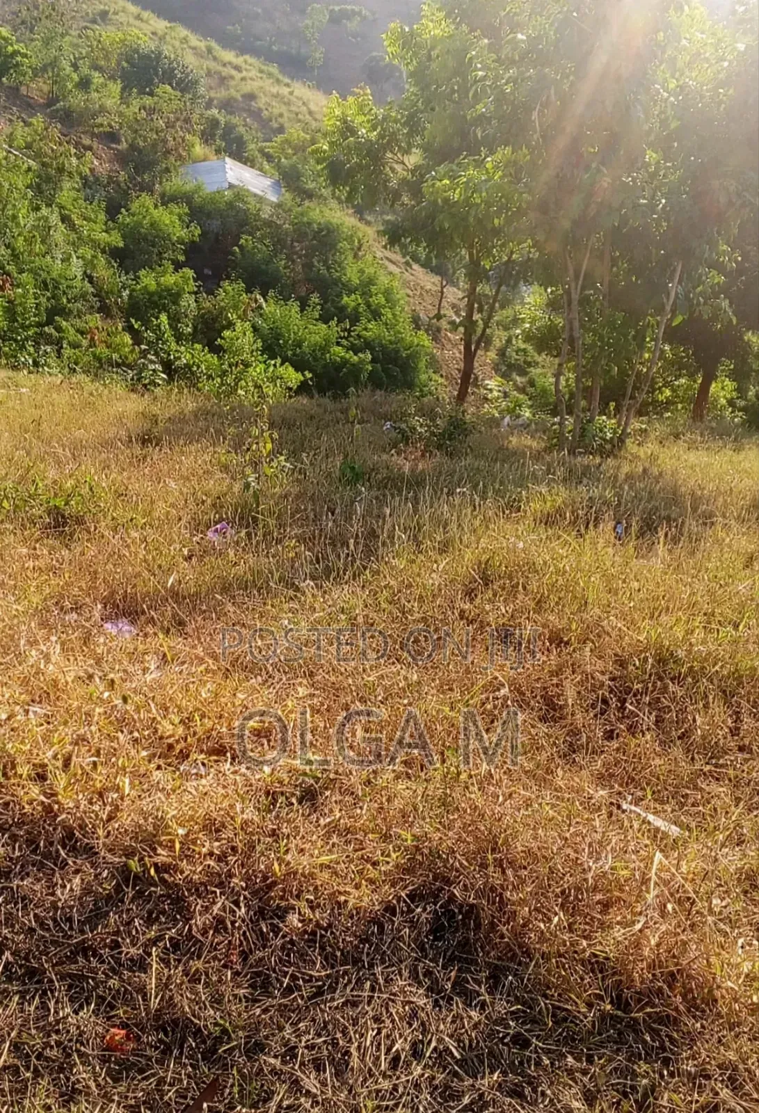 Plot for Sale