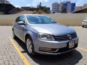 Volkswagen Passat S 2013 Blue