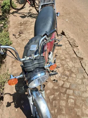 Bajaj Boxer 100 2019 Red
