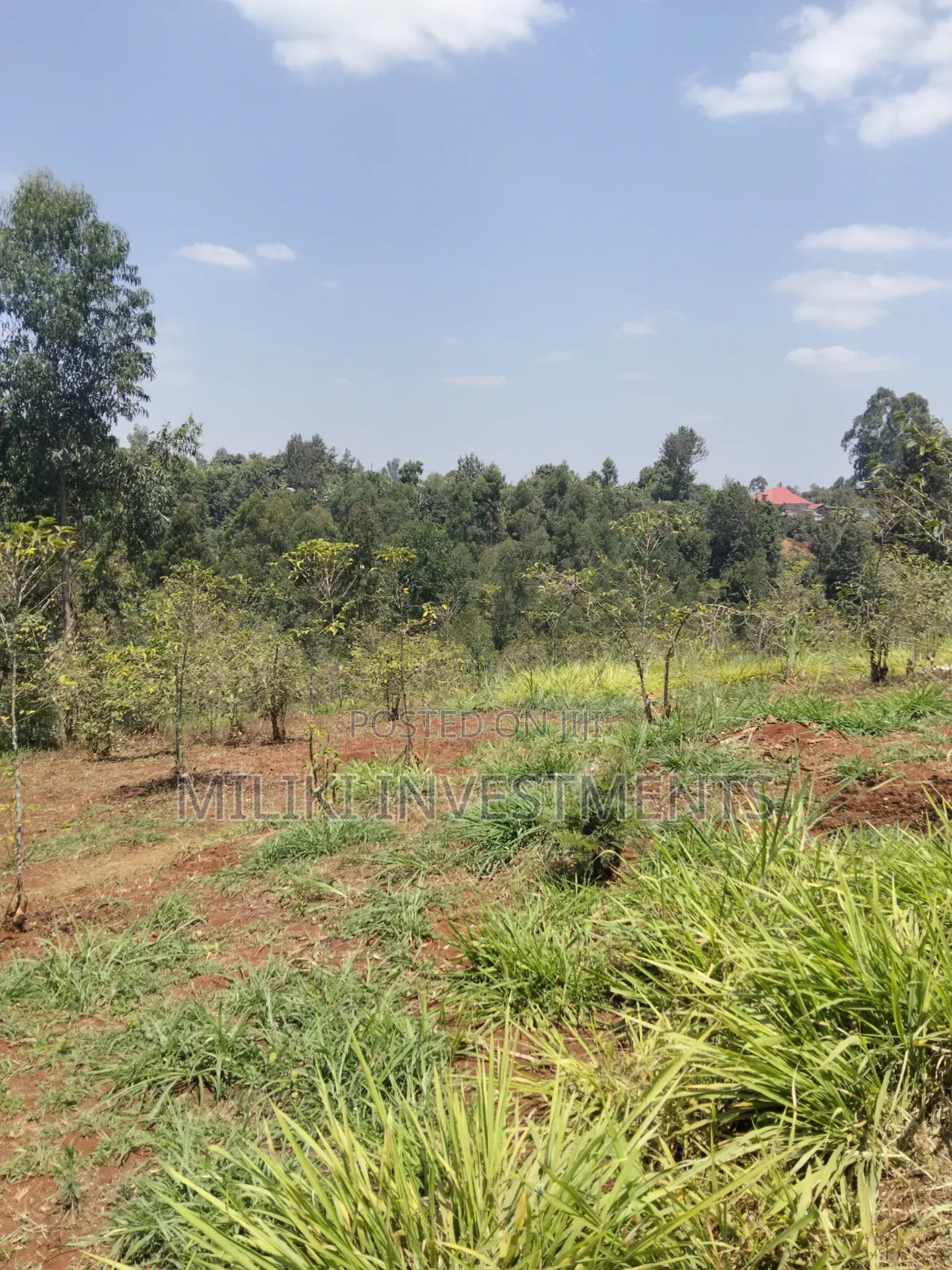2 Acres Land on Sale at Gatundu South -Kiamwangi.