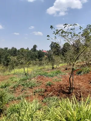 2 Acres Land on Sale at Gatundu South -Kiamwangi.