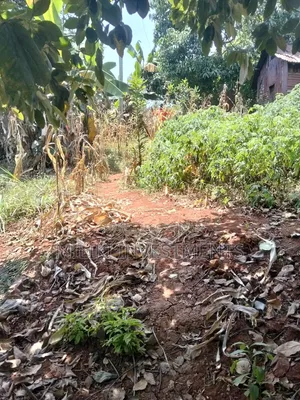 1 Acre Land Touching Tarmac on Sale at Kiamwangi