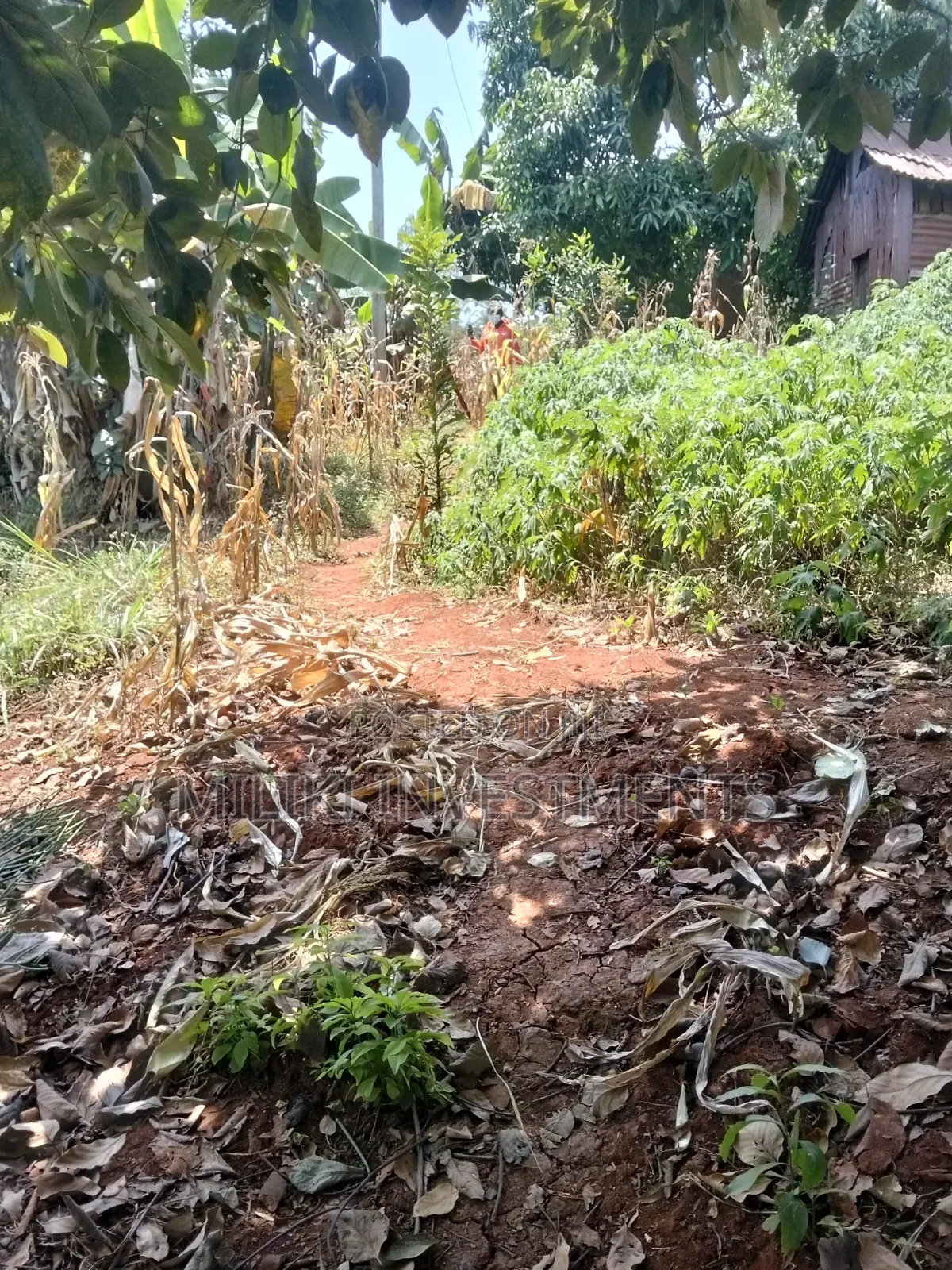 1 Acre Land Touching Tarmac on Sale at Kiamwangi