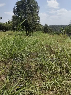 1/4 an Acre on Sale at Kiamwangi -Gatundu South