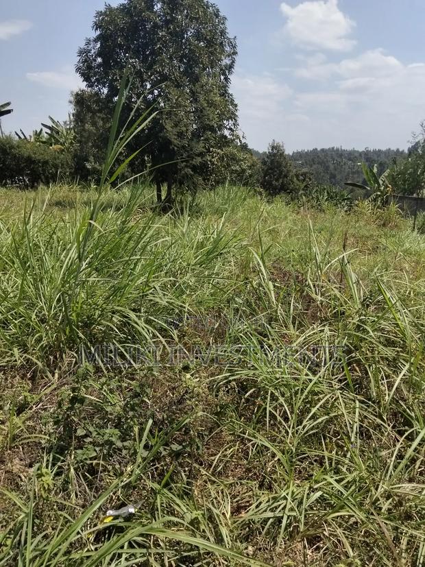 1/4 an Acre on Sale at Kiamwangi -Gatundu South