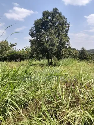 1/4 an Acre on Sale at Kiamwangi -Gatundu South