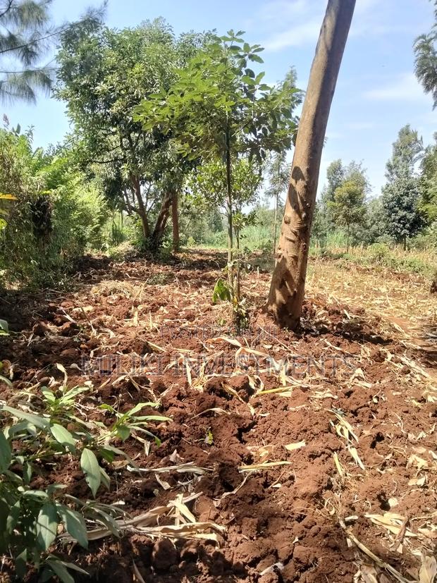 1.25 Land on Sale at Kiamwangi -Gatundu South