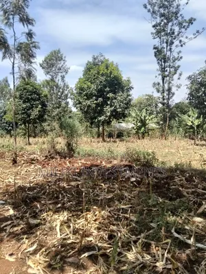 1.25 Land on Sale at Kiamwangi -Gatundu South
