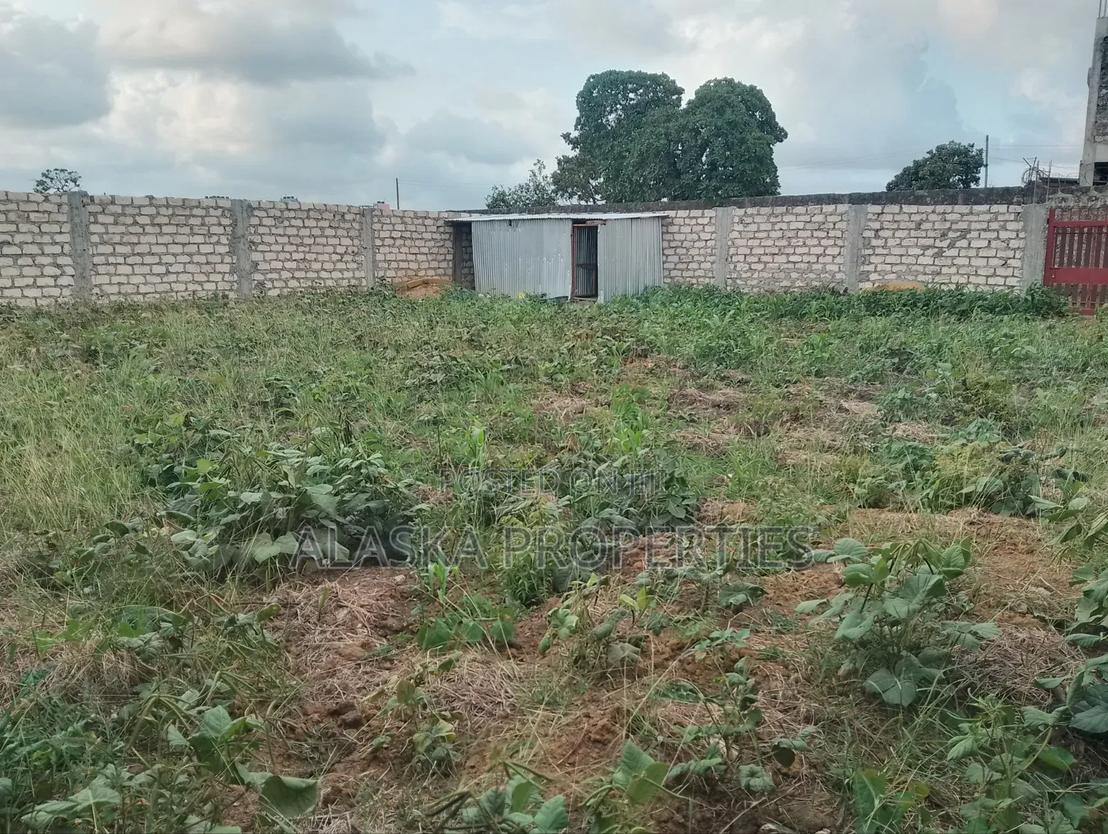 50by100 Plot 4 Sale in Bamburi Seven Star
