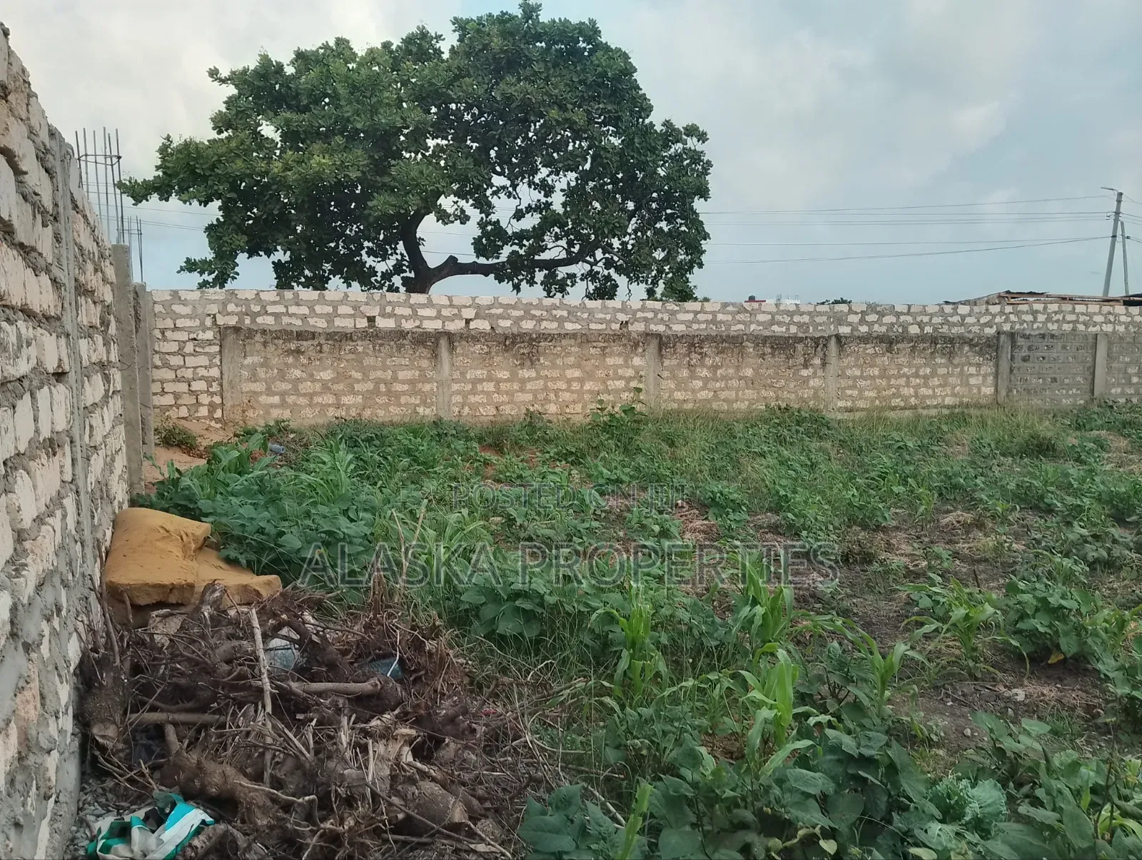 50by100 Plot 4 Sale in Bamburi Seven Star