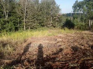2 Acres Prime Land in Matasia, Ngong Kajiado