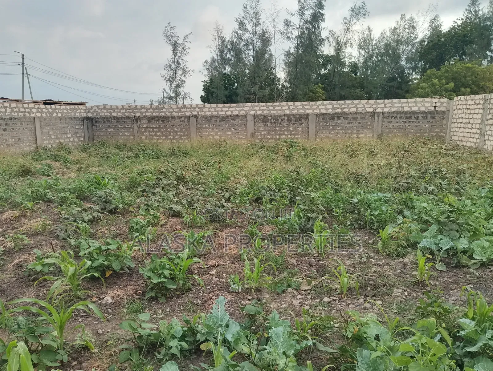 50by100 Plot 4 Sale in Bamburi Seven Star