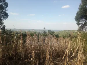 2 Acres Prime Land in Matasia, Ngong Kajiado