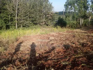 2 Acres Prime Land in Matasia, Ngong Kajiado