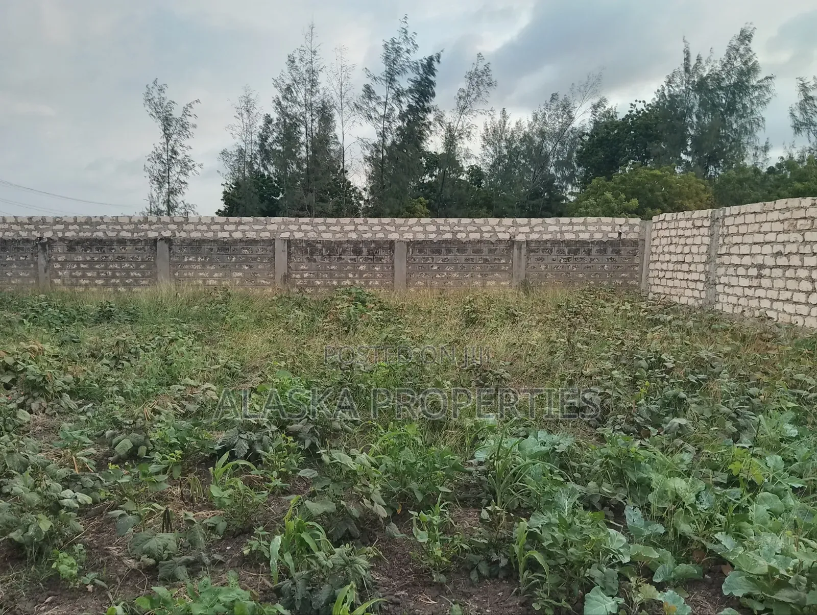 50by100 Plot 4 Sale in Bamburi Seven Star