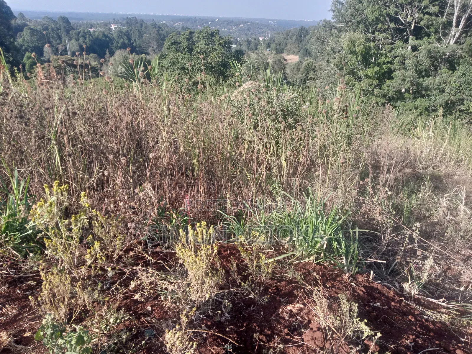 2 Acres Prime Land in Matasia, Ngong Kajiado