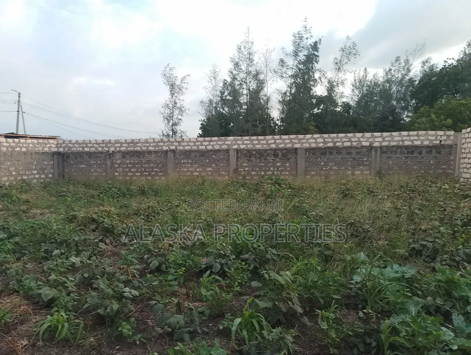 50by100 Plot 4 Sale in Bamburi Seven Star