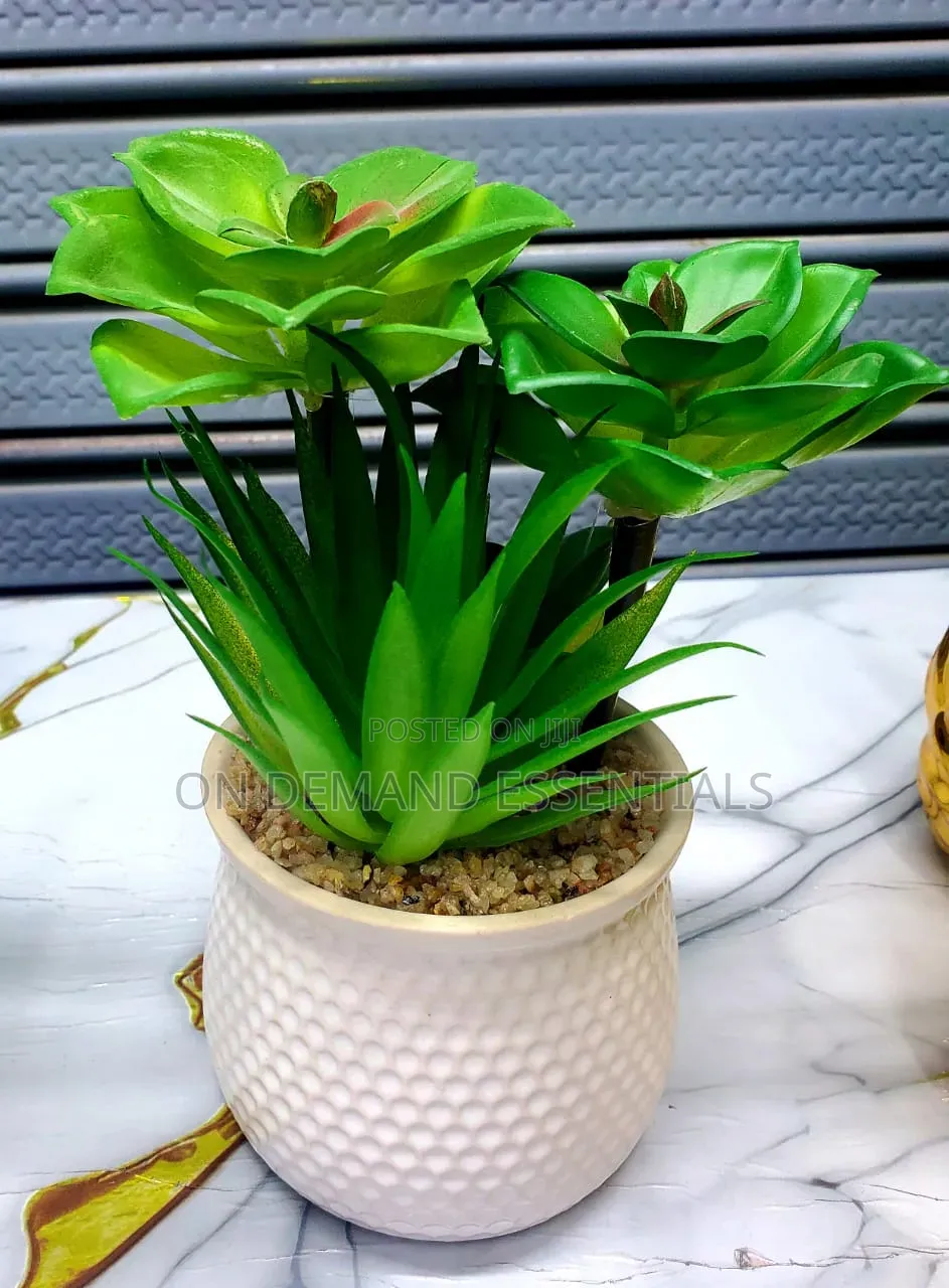 Artificial Succulent Flower Flower Plus Ceramic Vase