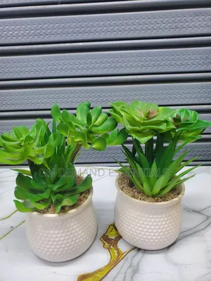 Artificial Succulent Flower Flower Plus Ceramic Vase