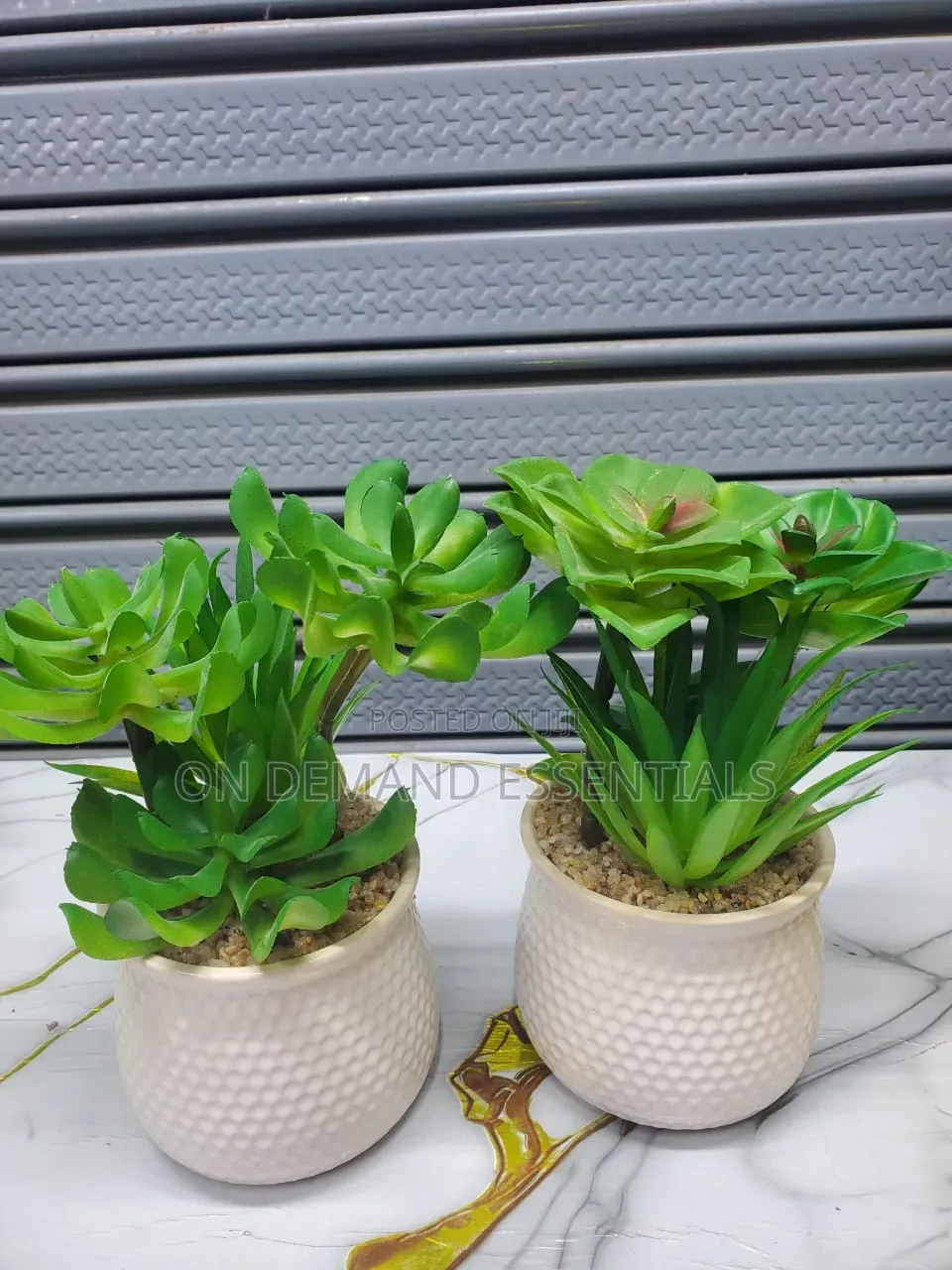 Artificial Succulent Flower Flower Plus Ceramic Vase