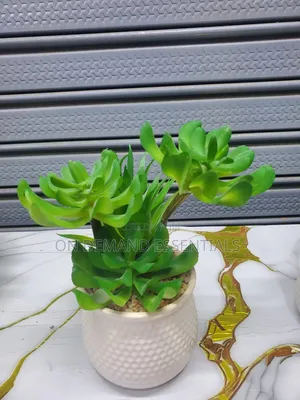 Artificial Succulent Flower Flower Plus Ceramic Vase