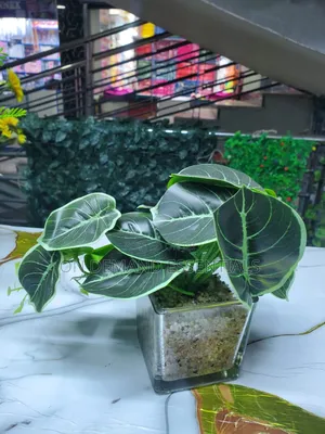 Artificial Flowers
 Flower Plus Glass Vase