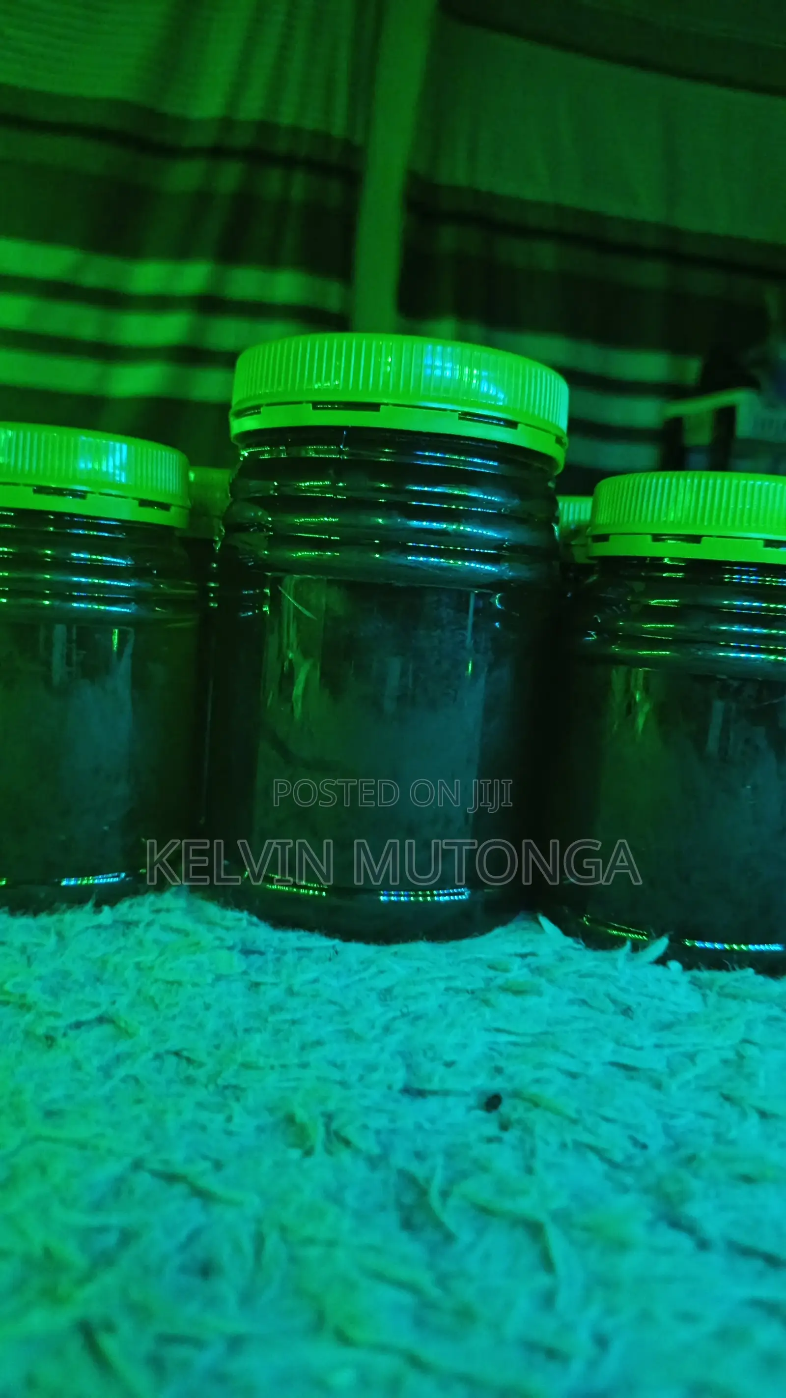 Savvanah Gold Honey