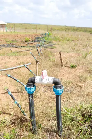 50x100 Plot for Sale in Matuu Kavindini