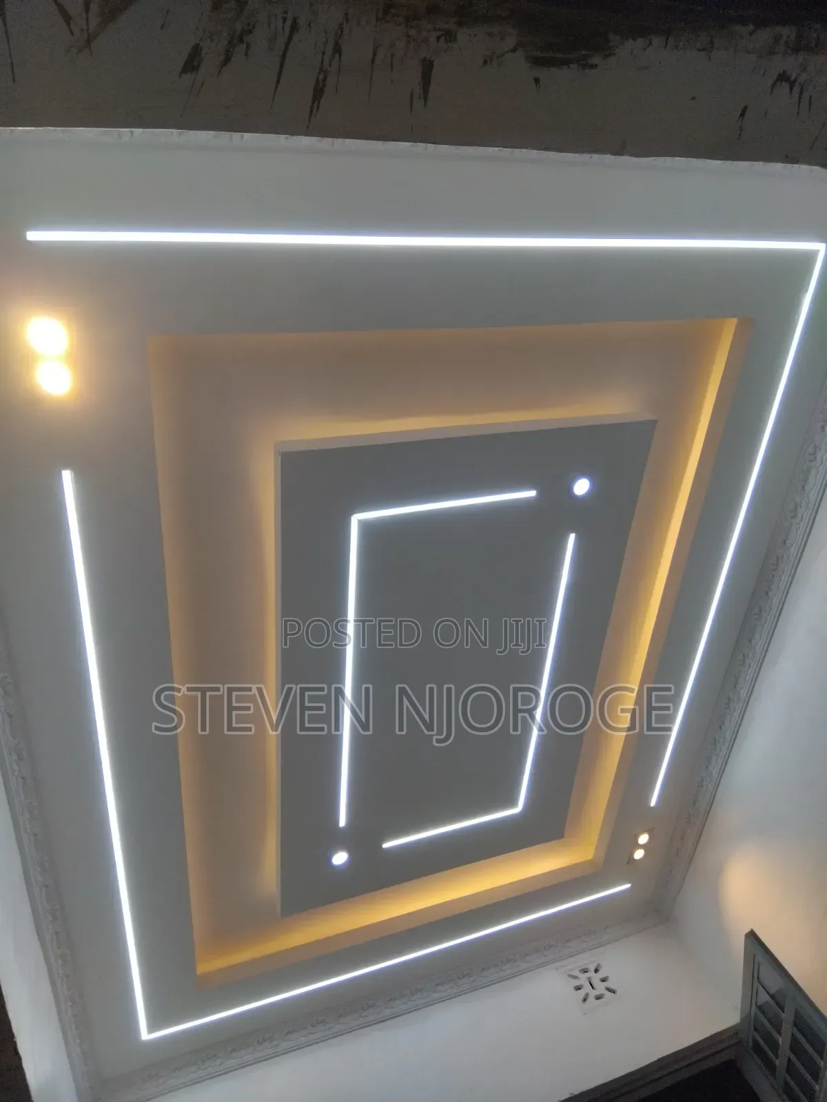 Professional Electrician