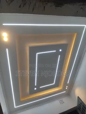Professional Electrician
