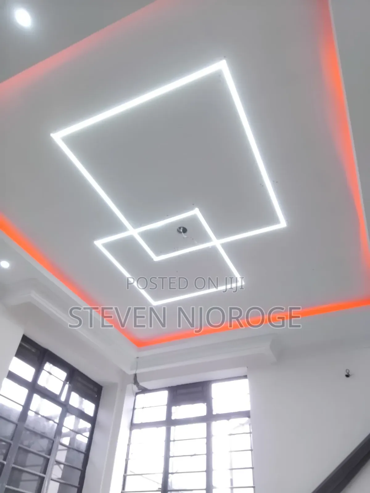 Professional Electrician