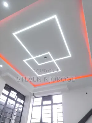 Professional Electrician