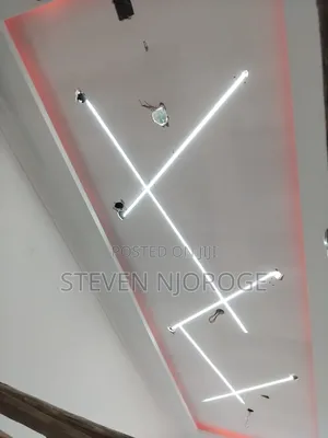 Professional Electrician