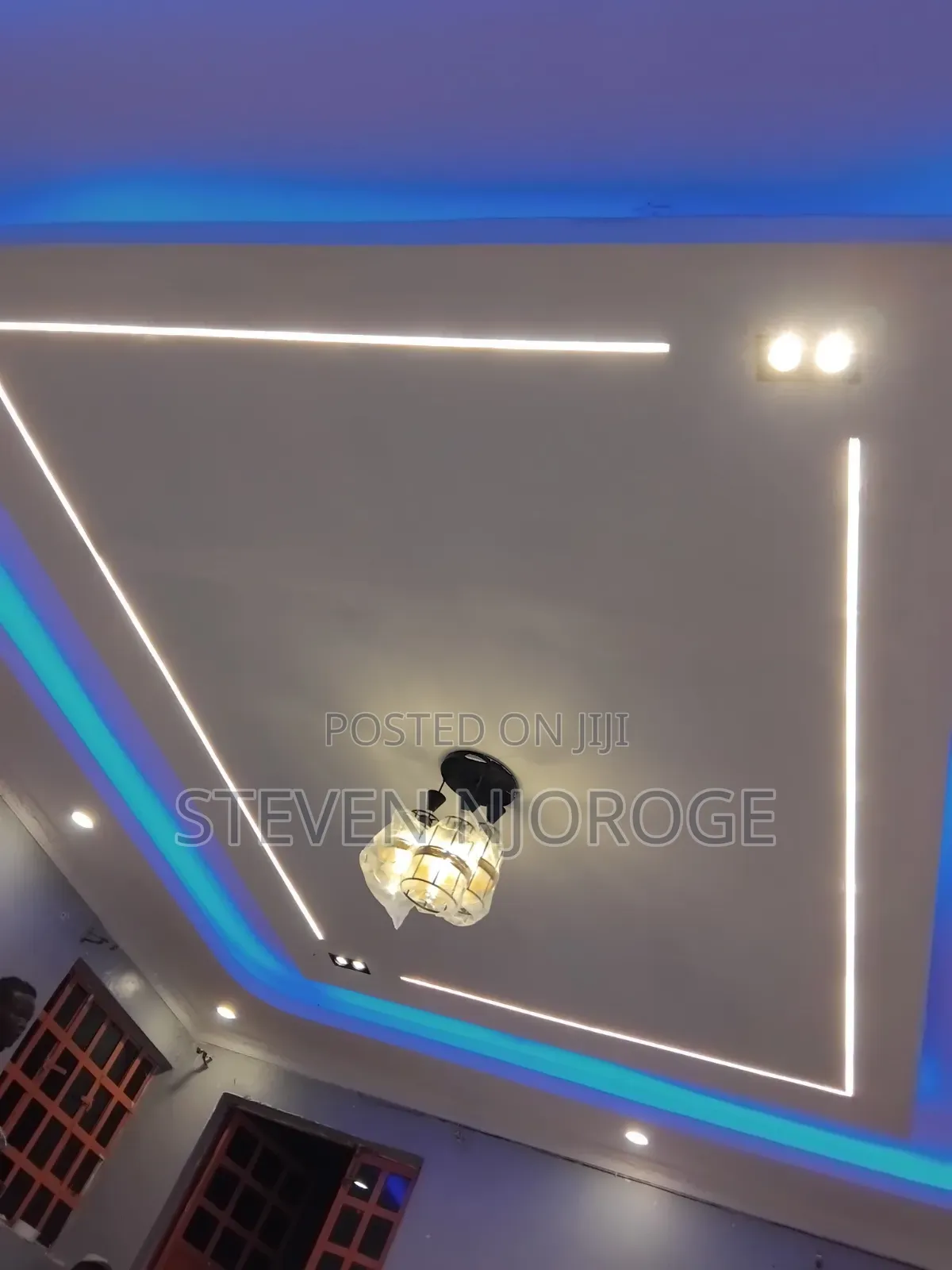 Professional Electrician