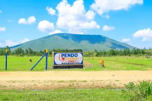 Kilimambogo Plots – Own Land, Build Your Future!