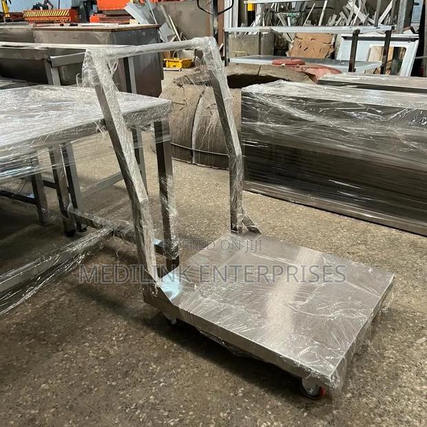 Stainless Industrial Trolleys for Movement of Goods