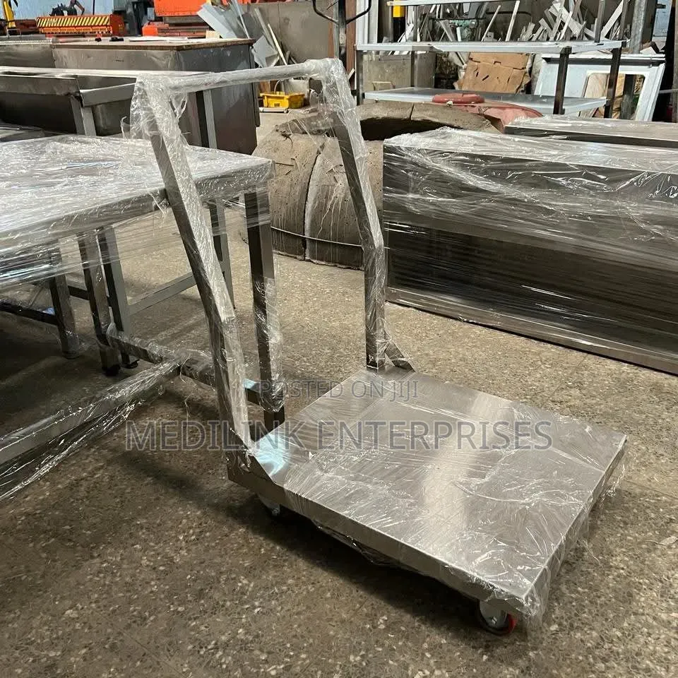 Stainless Industrial Trolleys for Movement of Goods