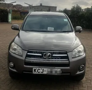 Toyota RAV4 2010 Gray